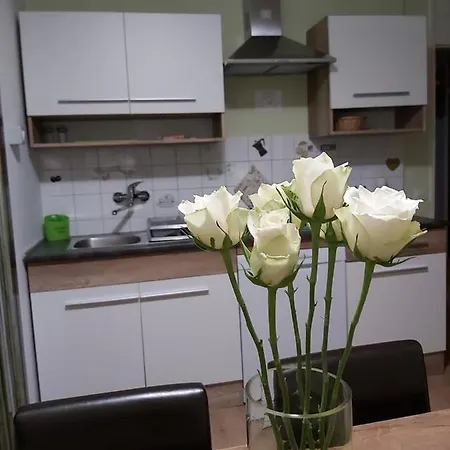 Apartma Maks - Kobarid