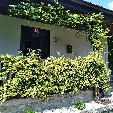 Casa vacanze Apartma Maks - Kobarid Podbela