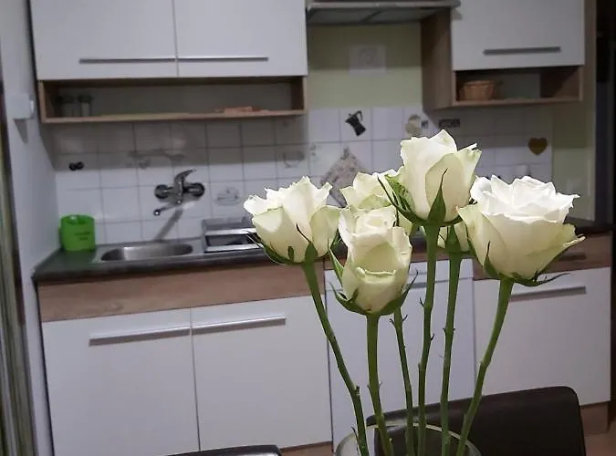 Apartma Maks - Kobarid